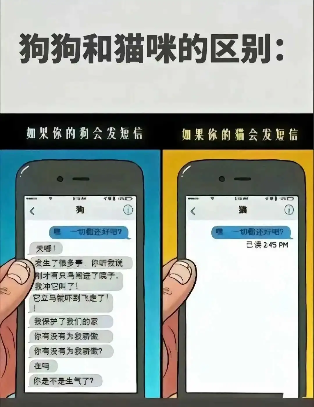 西檬之家 - 恋足癖是什么？字母圈中的足部探索指南