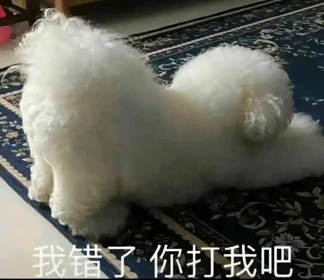 西檬之家-字母圈TK是什么？安全互动指南