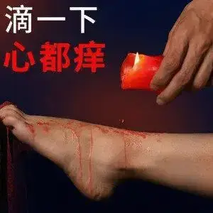 西檬之家-字母圈的入门指南