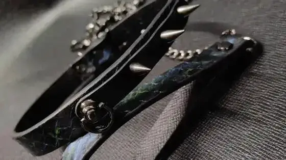 西檬之家-BDSM入圈指南：新人如何安全融入字母圈