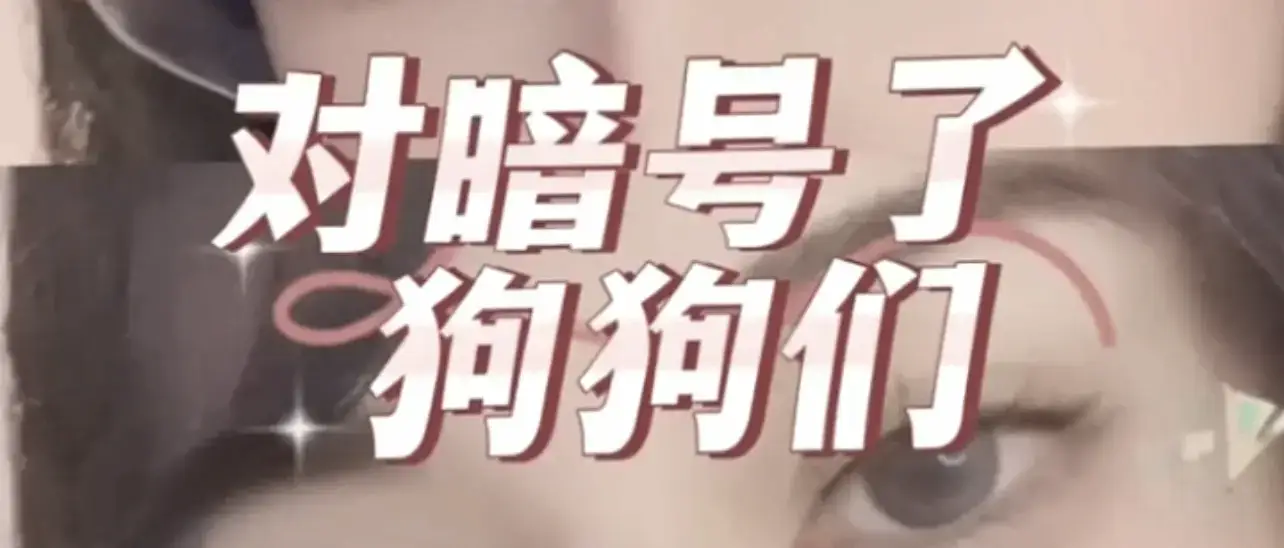 【西檬之家-字母圈的DS关系是什么意思？新人入门指南】
