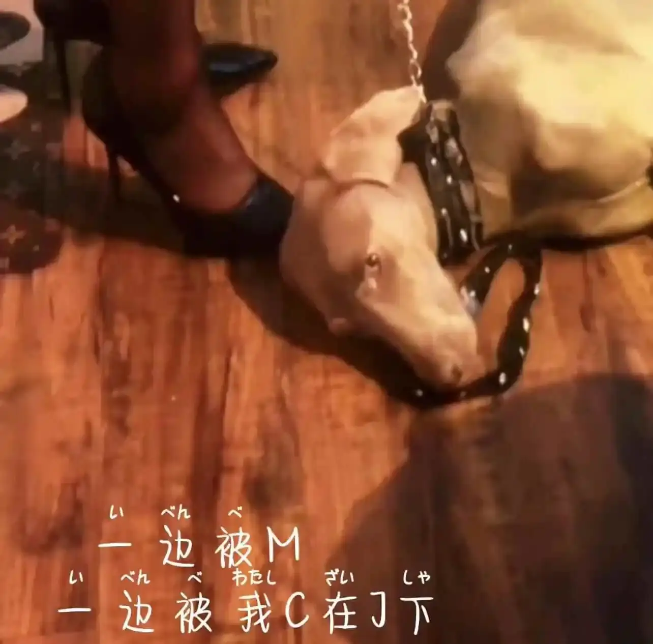 西檬之家-字母圈的TK是什么意思？