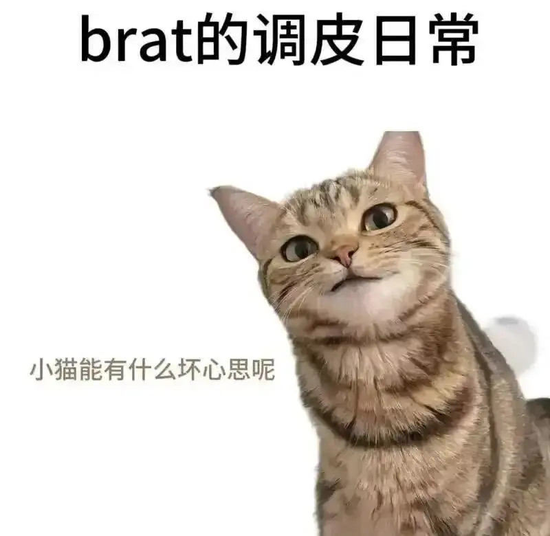 大圈 - 微信图片_20251203212836_109_19