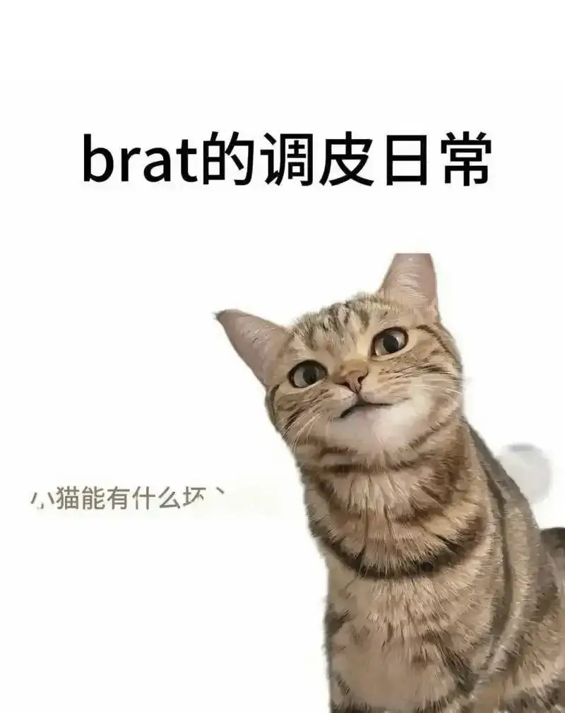女王 - 2025-11-13 192048